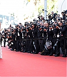KJO-313.jpg