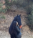 KJO-038.jpg