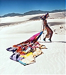 KJO-003.jpg